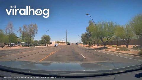 Large Truck Swerves Into Oncoming Lane || ViralHog