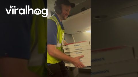 Pizza Delivered to Passengers Stuck on Delayed Airplane || ViralHog