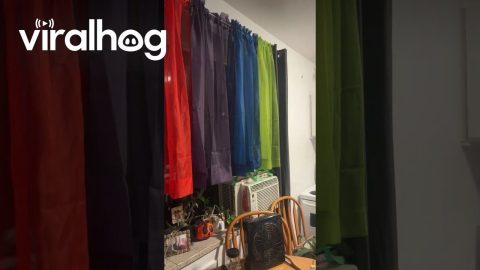 Rainbow Curtains Not In Color Order || ViralHog