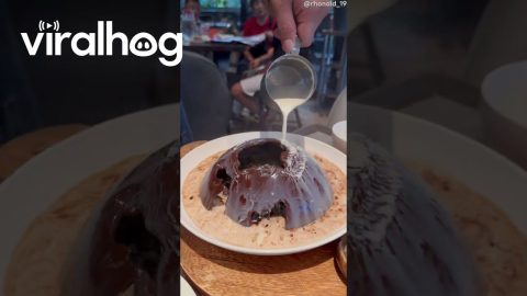 Perfect Pour on Chocolate Champorado Dome || ViralHog