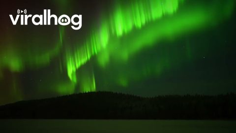 Perfect Skies For Dancing Auroras || ViralHog