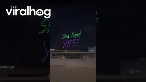 Strangers Celebrate Drone Proposal in Dallas || ViralHog