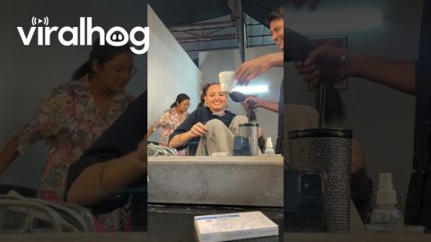 Mouse On The Makeup Counter || ViralHog
