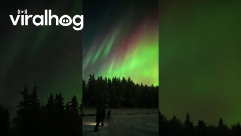 Bright Auroras Light Up Alaskan Snow || ViralHog