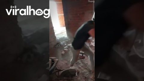 Construction Worker's Kung Fu Demo Gone Wrong || ViralHog