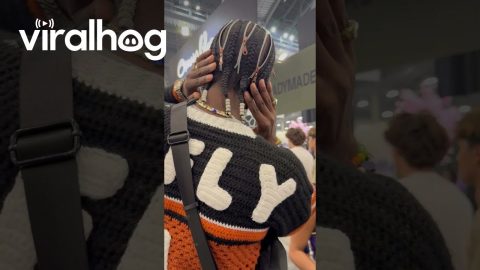 Creative Zipper Braids || ViralHog