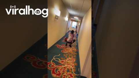 Girl's Knees Give Out Striking a Pose || ViralHog