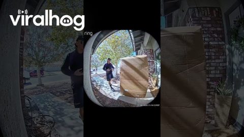 Delivery Guy Precariously Places New TV Package || ViralHog