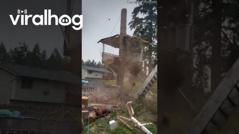 Falling Tree Breaks Treehouse || ViralHog