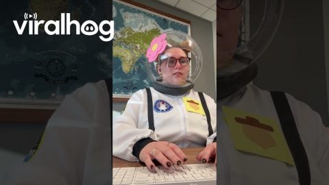 Sandy Cheeks Hard at Work || ViralHog