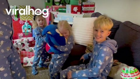 The Moment Her Christmas Wish Came True || ViralHog
