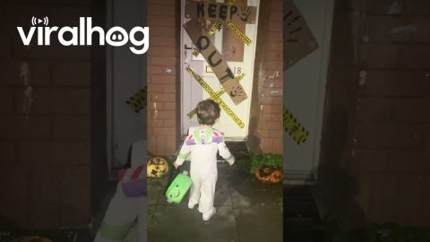 First-Time Trick-or-Treater Changes Their Mind || ViralHog
