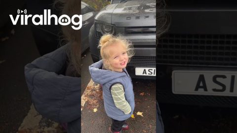 Clever Boy Knows Every Car Brand || ViralHog