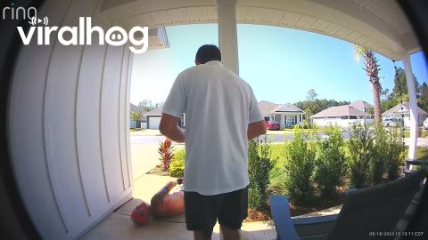 Roller Blading Steve Still Wants To Talk Cars || ViralHog