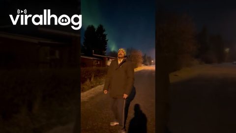 Dance of the Northern Lights || ViralHog
