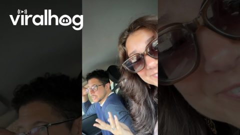 Life with a Bilingual Husband || ViralHog