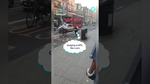 Police Officer Fails to Lay Spike Strip || ViralHog Shorts