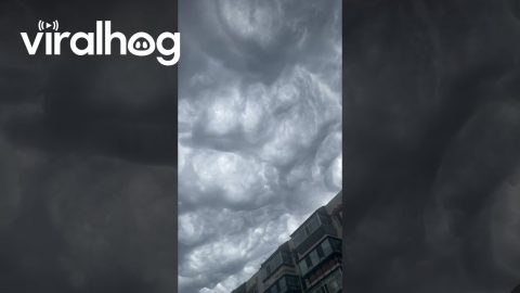 Mesmerizing Asperitas Cloud Formation || ViralHog