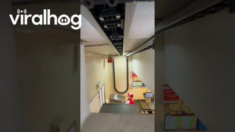Fast Food Conveyor System POV || ViralHog
