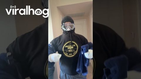 Preparing for War (Giving My Cat a Bath) || ViralHog
