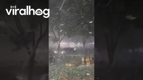 Beijing Hit by Sudden Intense Storm || ViralHog
