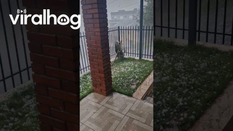 Heavy Hail Pelts Porch in Sarandi || ViralHog