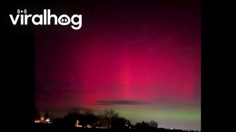 Northern Lights Over Berthoud, Colorado || ViralHog
