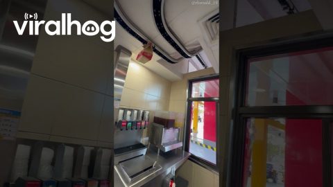Food Conveyor System At Dual Lane Drive-Through || ViralHog