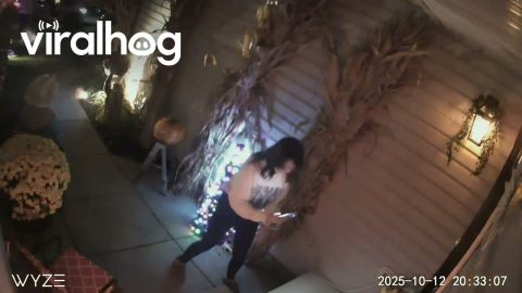Amazon Delivery Driver Spooked By Halloween Decorations || ViralHog