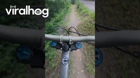 Downhill Mountain Biker’s Back Wheel Explodes || ViralHog