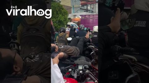 Biker Takes a Nap While Stuck in Gridlock Traffic || ViralHog