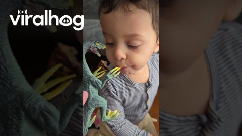 Toddler Only Eats With Dinosaur Toy || ViralHog