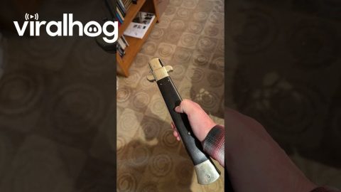 Ridiculously Oversized Switchblade || ViralHog