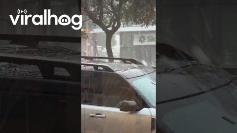 Watching My Car Get Destroyed From a Coffee Shop || ViralHog