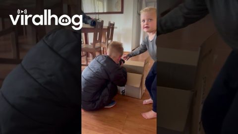 Rescued Puppy Finds New Home With Sweet Family || ViralHog