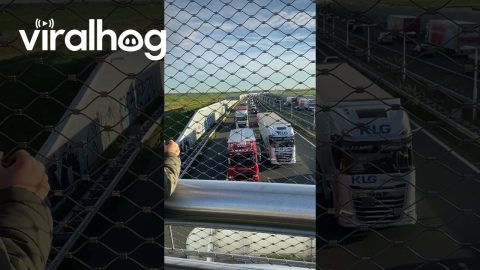 Truck Drivers Honk Together For Giggling Fan || ViralHog