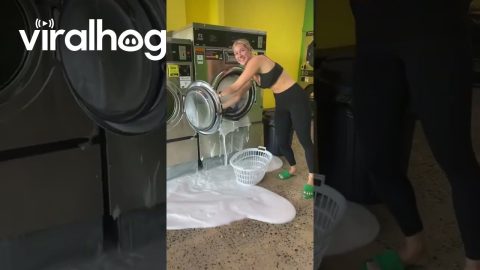 A Little Extra Soap Goes A Long Way || ViralHog