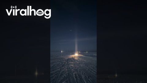 Frosty Tundra Morning Creates Light Pillars || ViralHog