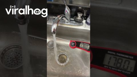 Apparently My Sink Is Fed by the Earth's Core || ViralHog
