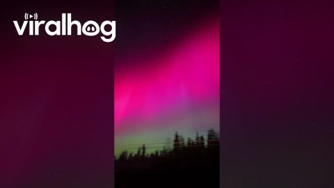 Amazing Aurora in Alaska || ViralHog