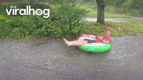 Florida Man Goes Tubing Down Rain-Drenched Street || ViralHog