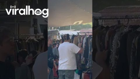 Spectacular Hairstyle At Cholula Bazaar || ViralHog