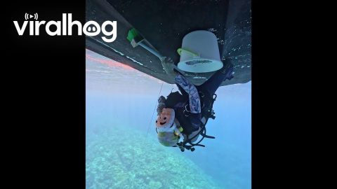 Diver Cleans the Underside of a Boat || ViralHog
