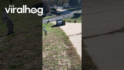Car Pushes Garbage Bin Up Steep Driveway || ViralHog