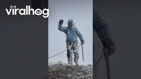 Freezing Mountaineers Summit Orizaba Peak || ViralHog