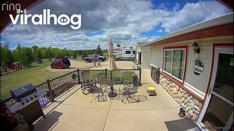 Boat Trailer Rolls Away || ViralHog