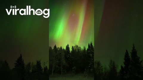Colorful Aurora Over Fairbanks, Alaska || ViralHog