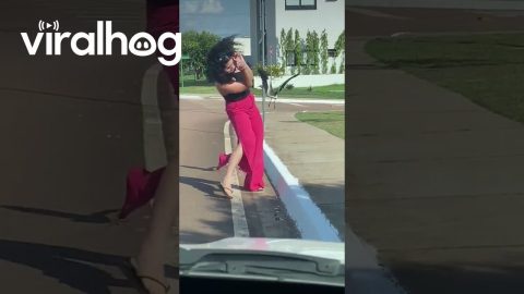 She Just Wanted to Help a Baby Bird || ViralHog