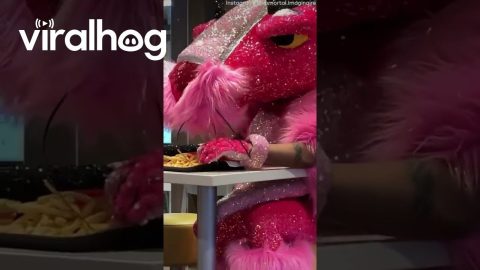 Prettiest Pink Panther Eats Fries at McDonald's || ViralHog