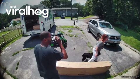 Dog Scares FedEx Driver || ViralHog